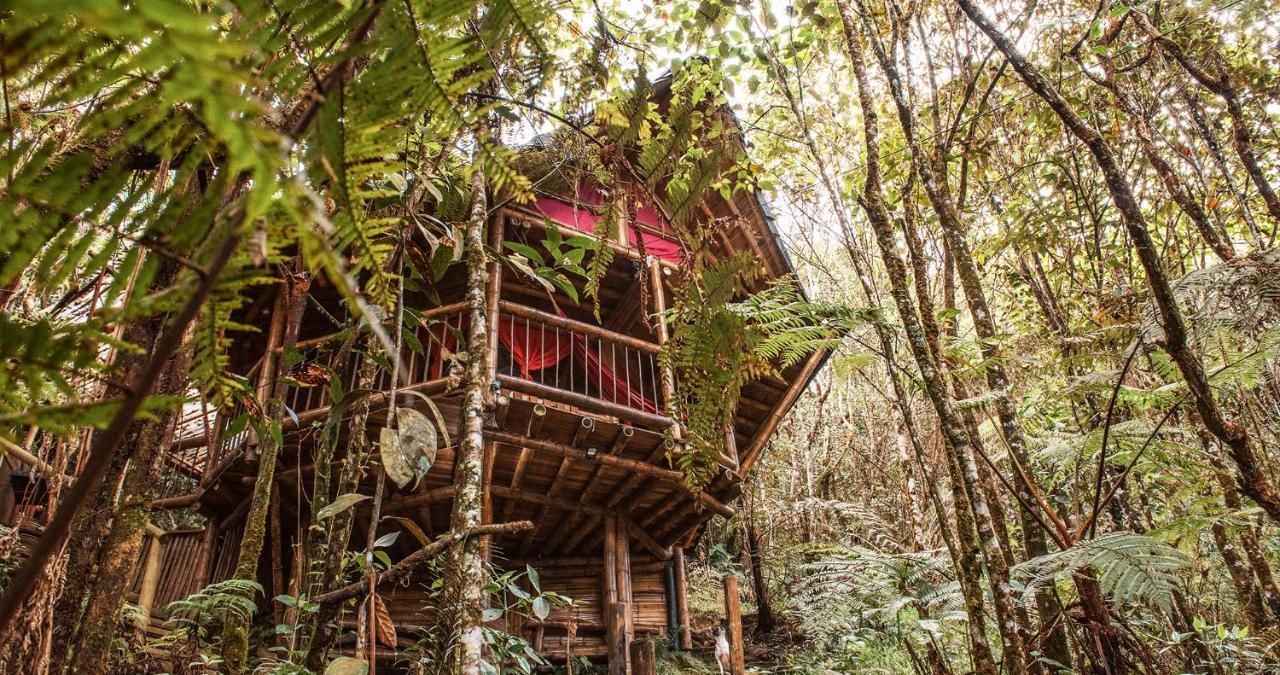 Hotel Guatape Adrianas Bambu Exterior foto