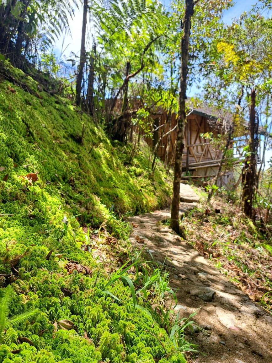 Hotel Guatape Adrianas Bambu Exterior foto