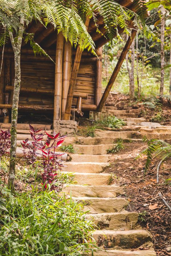 Hotel Guatape Adrianas Bambu Exterior foto